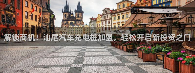 威廉体育中文：解锁商机！汕尾汽车充电桩加盟，轻松开启新投资之门