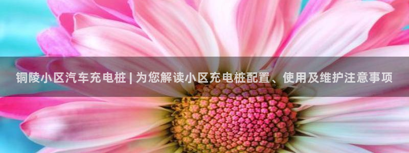 威廉希尔中文网站是不是真的假的：铜陵小区汽车充电桩 | 为您解读小区充电桩配置、使用及维护注意事项