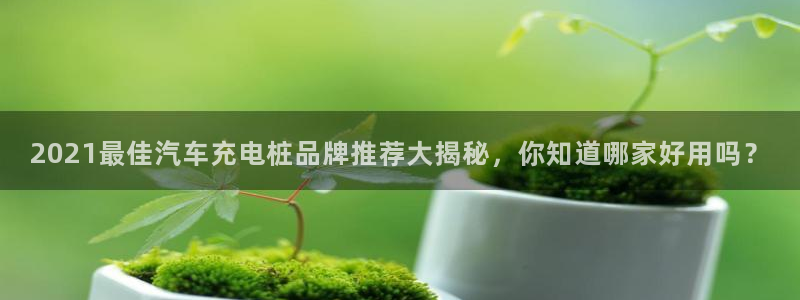 威廉希尔是什么水平的公司：2021最佳汽车充电桩品牌推荐大揭秘，你知道哪家好用吗？