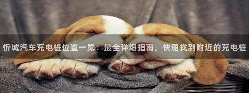 威廉希尔网球官网：忻城汽车充电桩位置一览：最全详细指南，快速找到附近的充电桩