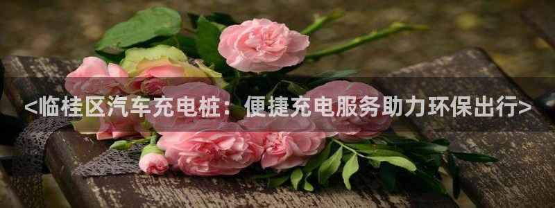 威廉希尔日职1.95是什么意思：<临桂区汽车充电桩：便捷充电服务助力环保出行>