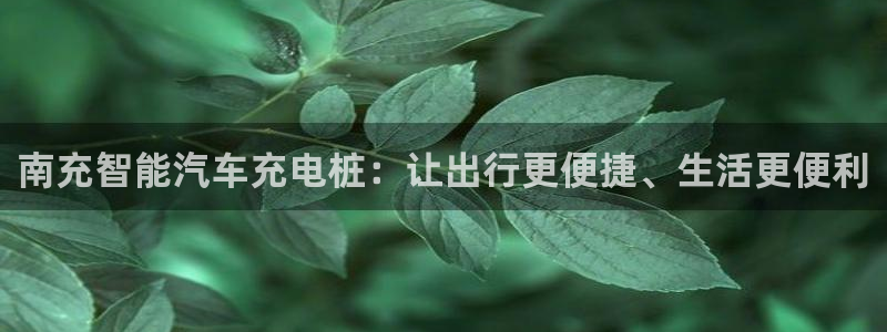 威廉希尔市场数据：南充智能汽车充电桩：让出行更便捷、生活更便利