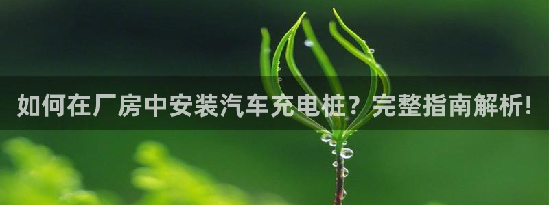 威廉希尔和立博三个指数完全一样