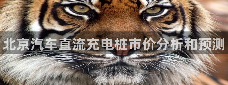 威廉体育中文：北京汽车直流充电桩市价分析和预测