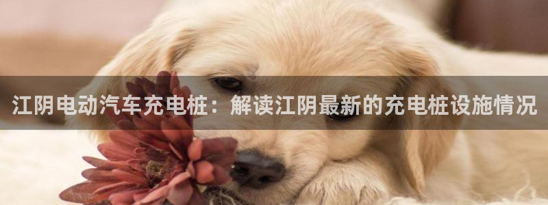 威廉希尔和立博相同项：江阴电动汽车充电桩：解读江阴最新的充电桩设施情况