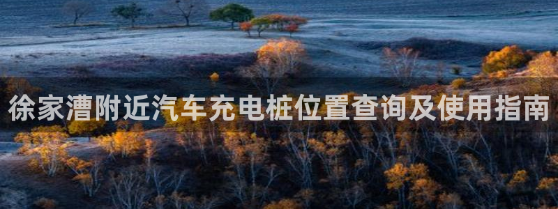 威廉指数公式：徐家漕附近汽车充电桩位置查询及使用指南