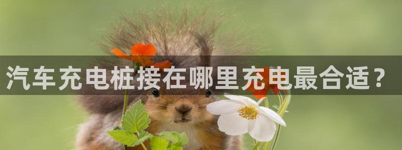 威廉希尔足球网成立于：汽车充电桩接在哪里充电最合适？
