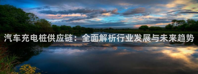 威廉希尔 1.44：汽车充电桩供应链：全面解析行业发展与未来趋势