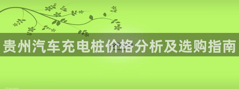 威廉网络科技有限公司：贵州汽车充电桩价格分析及选购指南