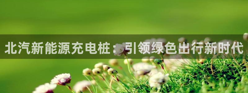 威廉希尔对比inter：北汽新能源充电桩：引领绿色出行新时代