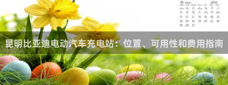 威廉国际：昆明比亚迪电动汽车充电站：位置、可用性和费用指南