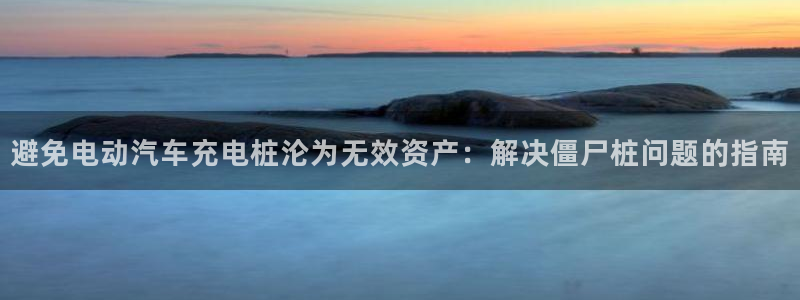 威廉希尔买卖指数：避免电动汽车充电桩沦为无效资产：解决僵尸桩问题的指南