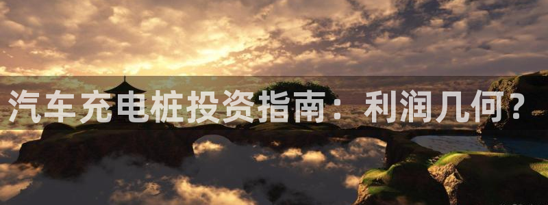 威廉tt：汽车充电桩投资指南：利润几何？