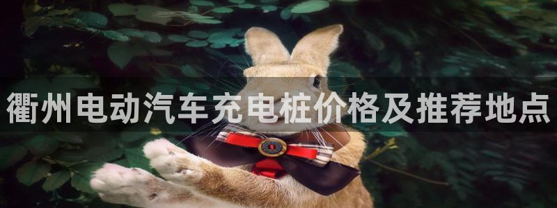 威廉国际是什么app：衢州电动汽车充电桩价格及推荐地点