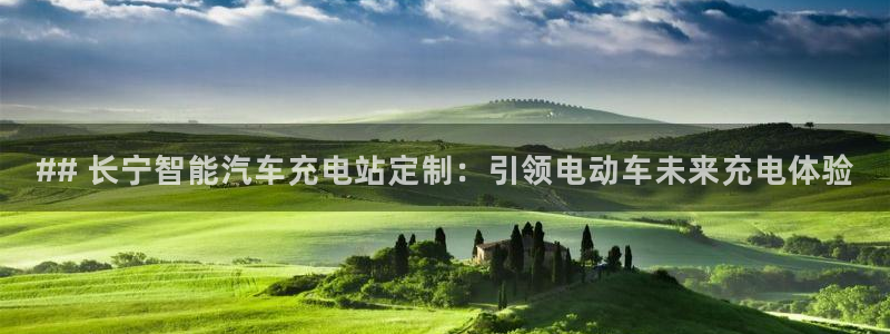 欧洲威廉希尔公司图片：## 长宁智能汽车充电站定制：引领电动车未来充电体验