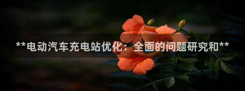 威廉希尔信誉怎么样：**电动汽车充电站优化：全面的问题研究和**