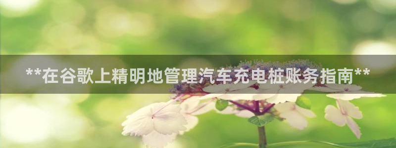 欧洲威廉希尔公司图片：**在谷歌上精明地管理汽车充电桩账务指南**