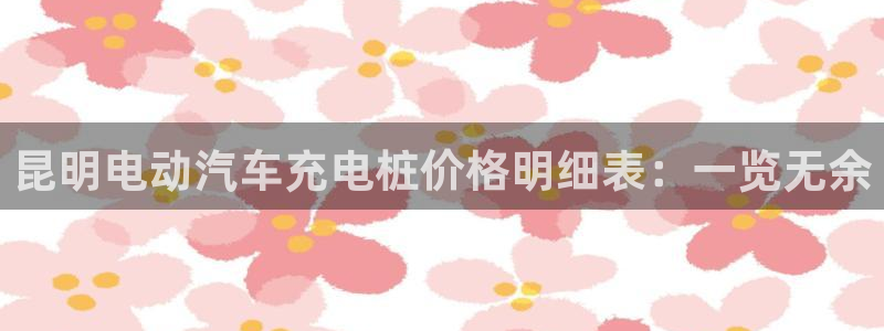 威廉希尔的分析方法：昆明电动汽车充电桩价格明细表：一览无余