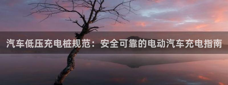 威廉国际提现是一个什么平台：汽车低压充电桩规范：安全可靠的电动汽车充电指南