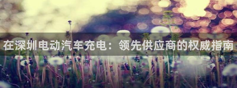 威廉希尔提现快吗：在深圳电动汽车充电：领先供应商的权威指南