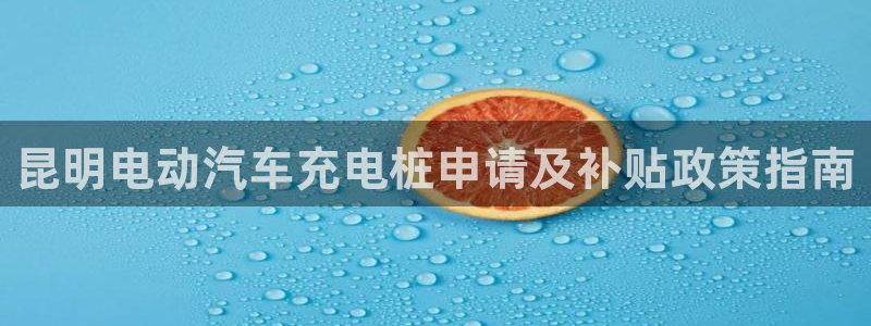 威廉公司官网：昆明电动汽车充电桩申请及补贴政策指南