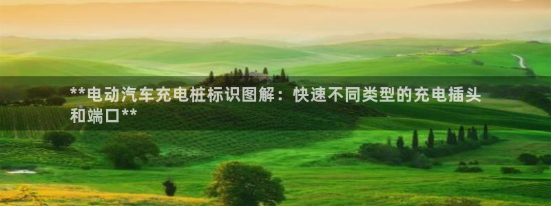 威廉国际app：**电动汽车充电桩标识图解：快速不同类型的充电插头
和端口**