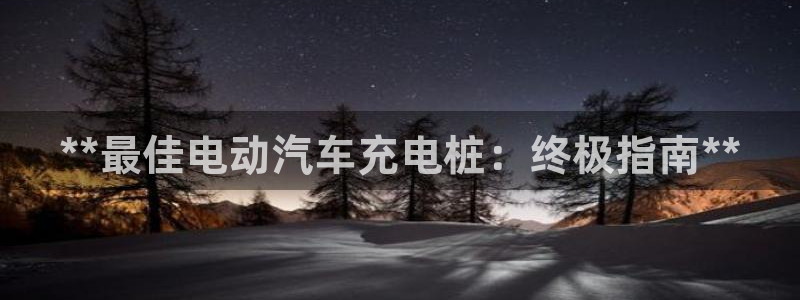 威廉希尔黑款：**最佳电动汽车充电桩：终极指南**