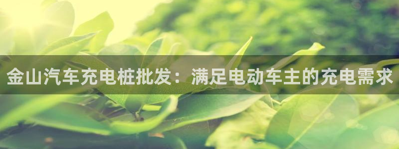 威廉希尔陪率特点：金山汽车充电桩批发：满足电动车主的充电需求