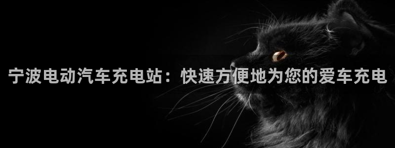 威廉希尔年度体育图书大奖：宁波电动汽车充电站：快速方便地为您的爱车充电