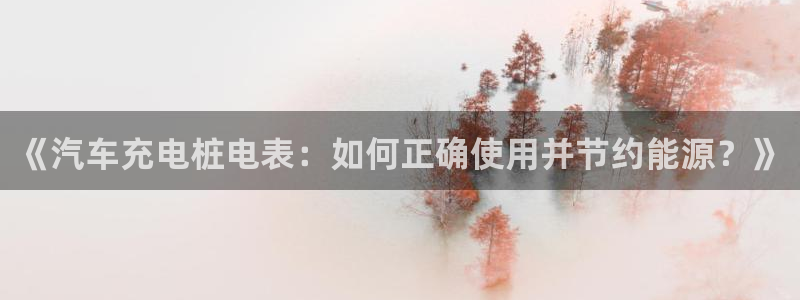 威廉希尔亚盘看盘技巧：《汽车充电桩电表：如何正确使用并节约能源？》