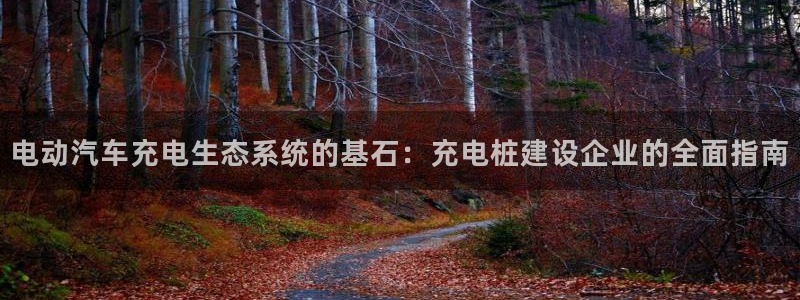威廉希尔立博对比必学会：电动汽车充电生态系统的基石：充电桩建设企业的全面指南