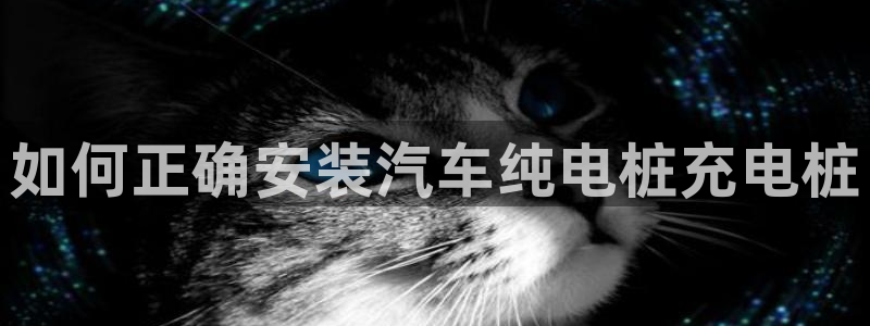 威廉希尔浏览器5.5.2：如何正确安装汽车纯电桩充电桩