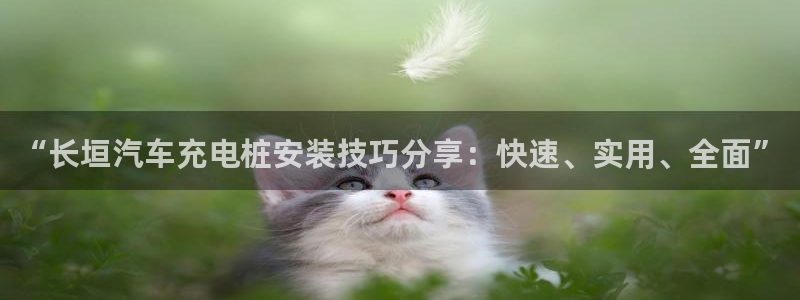 威廉娱乐2023官方版-5.06 InURl:fayunsi：“长垣汽车充电桩安装技巧分享：快速、实用、全面”