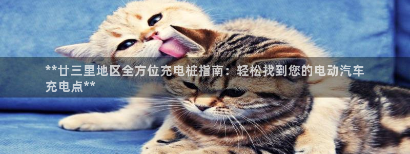 威廉国际ktv：**廿三里地区全方位充电桩指南：轻松找到您的电动汽车
充电点**
