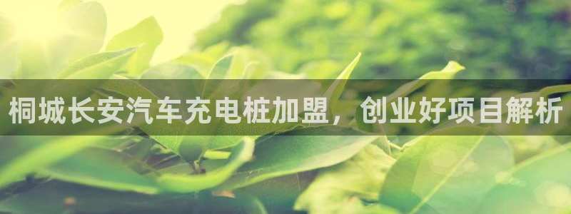 威廉希尔不开盘的比赛：桐城长安汽车充电桩加盟，创业好项目解析