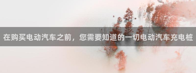 威廉希尔跑路了吗：在购买电动汽车之前，您需要知道的一切电动汽车充电桩
