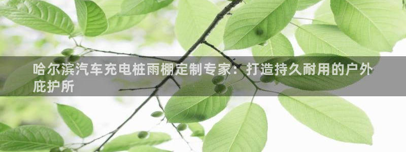威廉希尔现金网