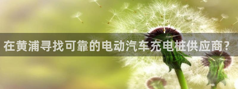 威廉希尔94体系标准盘：在黄浦寻找可靠的电动汽车充电桩供应商？