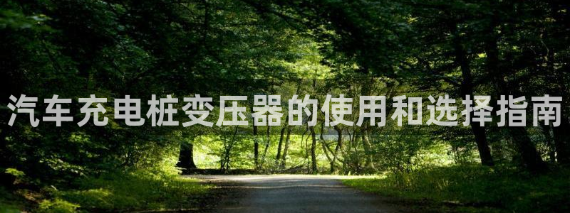 威廉国际平台有人玩过吗安全吗：汽车充电桩变压器的使用和选择指南