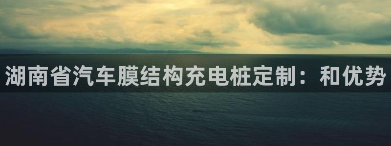 威廉希尔网页版：湖南省汽车膜结构充电桩定制：和优势