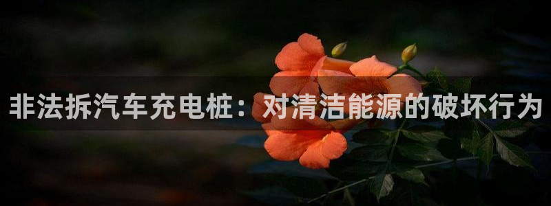 威廉希尔平台玩不给出款的问题