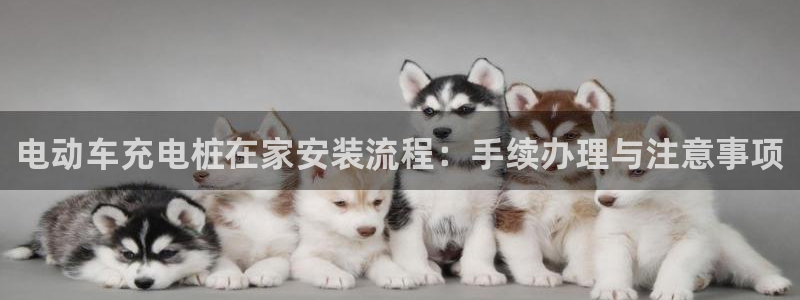 威廉希尔总部大楼：电动车充电桩在家安装流程：手续办理与注意事项