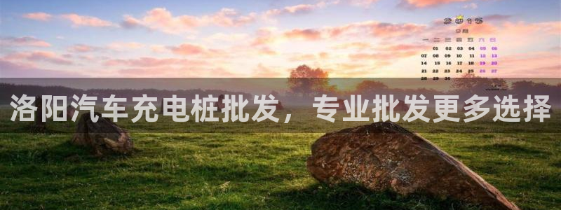 威廉国际平台正规吗：洛阳汽车充电桩批发，