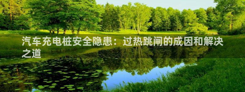 威廉与澳门盘到底看初盘还是怎么看：汽车充电桩安全隐患：过热跳闸的成因和解决
之道