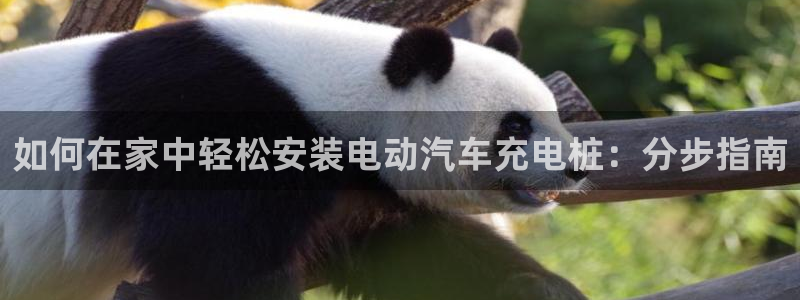 美职威廉希尔初赔研究：如何在家中轻松安装