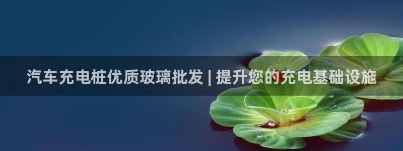 威廉健身管理咨询有限公司：汽车充电桩优质玻璃批发 | 提升您的充电基础设施