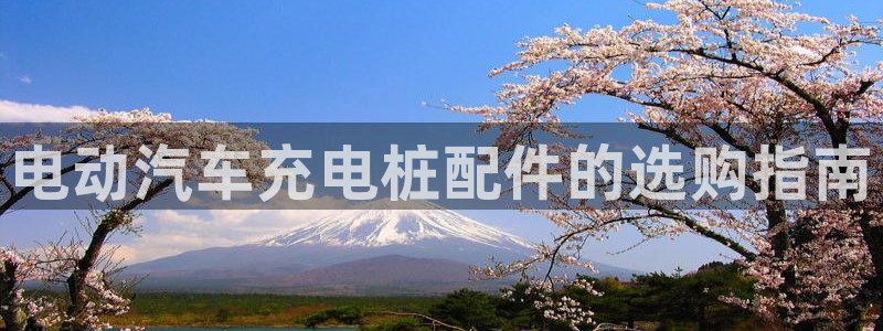 威廉体育官方app下载苹果：电动汽车充电桩配件的选购指南