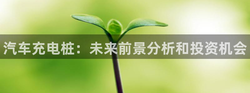 意甲的威廉希尔：汽车充电桩：未来前景分析和投资机会