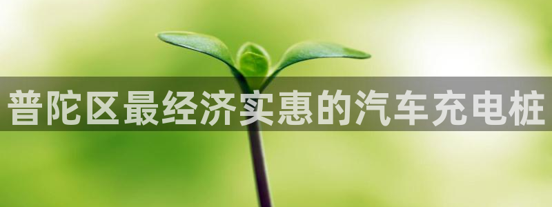 威廉希尔教学：普陀区最经济实惠的汽车充电桩