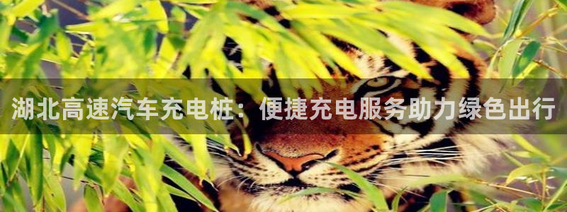 威廉希尔和365开盘特点：湖北高速汽车充电桩：便捷充电服务助力绿色出行